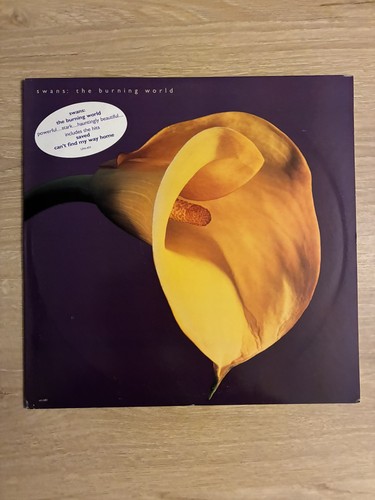 Swans the burning - burning, world