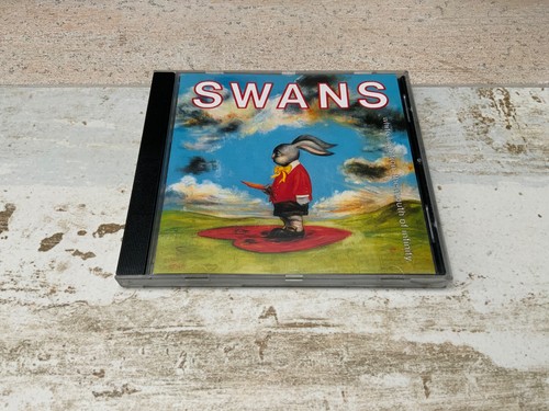 Swans white light from the - from,