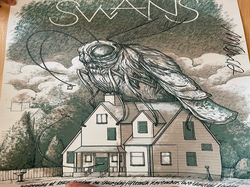 Swans poster signed michael - poster,