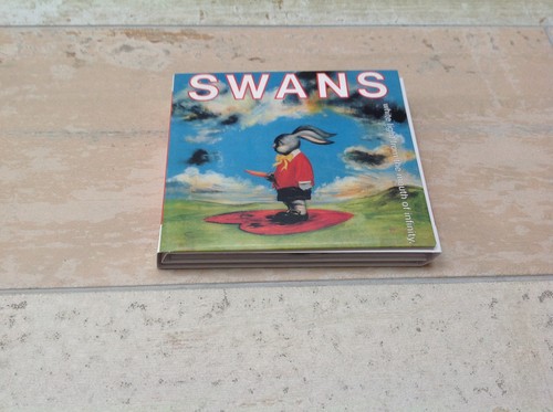 Swans white light from - swans,