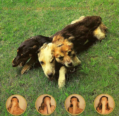 The world skin ten - of, ‎–