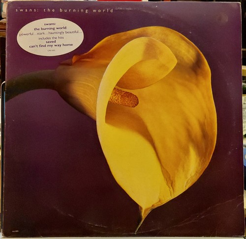 Swans the burning - swans,